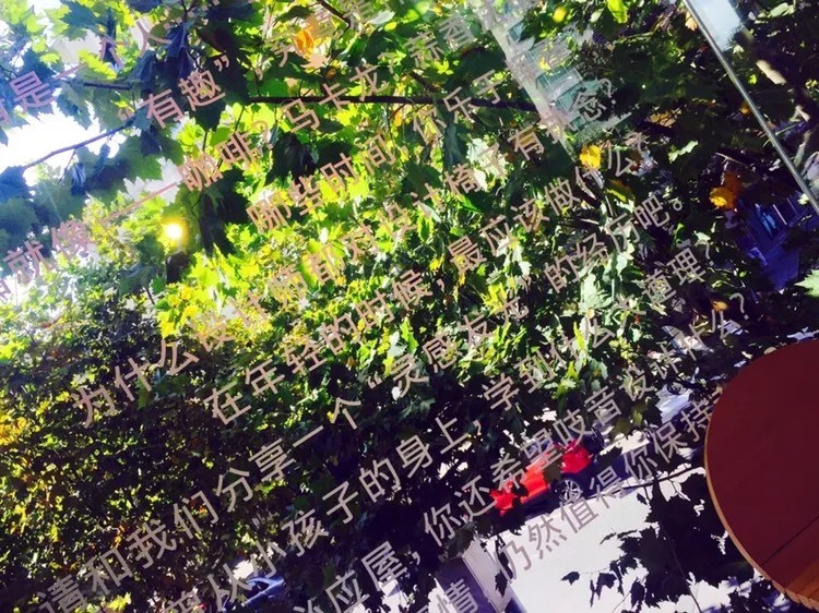 五角场 不上课的时候 老友促膝长谈选在了一家充满粉色调的网红店